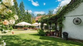 Kietlice - zdjęcie 14