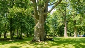 Kietlice - zdjęcie 6