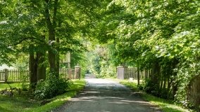 Kietlice - zdjęcie 5