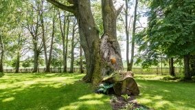 Kietlice - zdjęcie 4