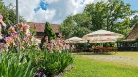 Stanica Wodna Kietlice - zdjęcie 23