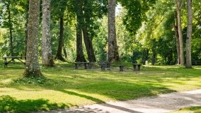 Kietlice - zdjęcie 2