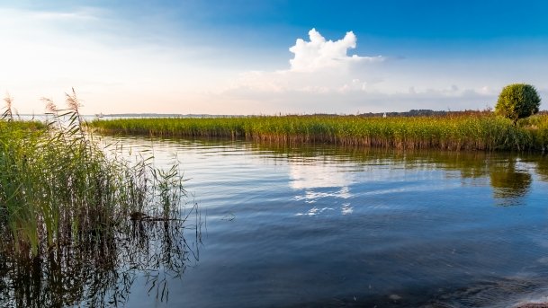 Przystań Żeglarska Skłodowo - zdjęcie 17