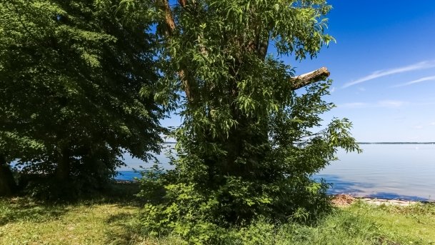 Kemping u Bogusia - zdjęcie 8