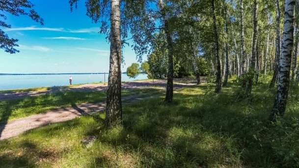 Kemping u Bogusia - zdjęcie 7