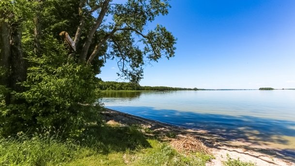 Kemping u Bogusia - zdjęcie 4