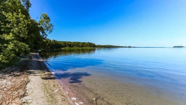 Kemping u Bogusia - zdjęcie 2