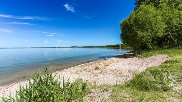 Kemping u Bogusia - zdjęcie 1