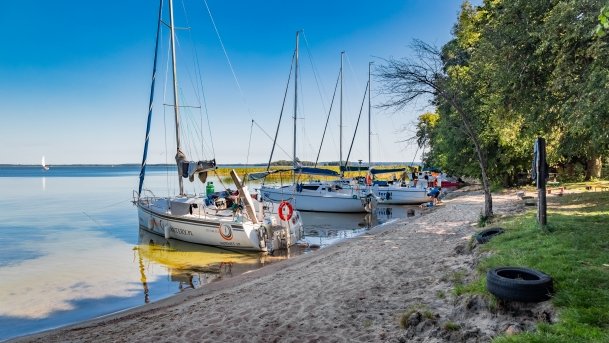 Pole Namiotowe Roganty - zdjęcie 15