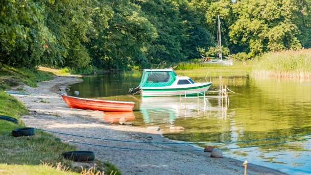 Pole Namiotowe Roganty - zdjęcie 5