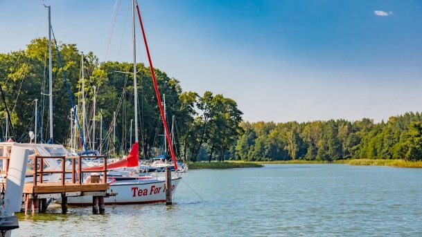 Port Łabędzi Ostrów - zdjęcie 2