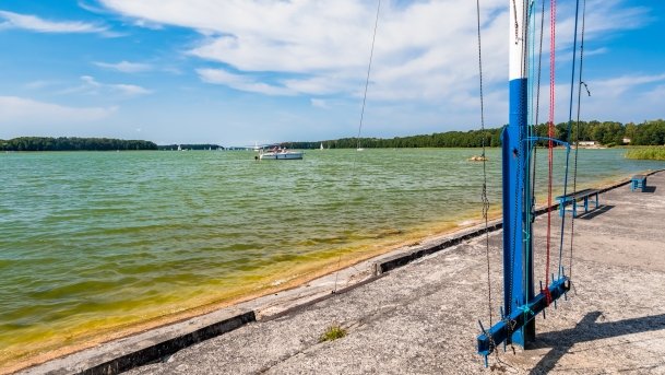 Kisajno - zdjęcie 159