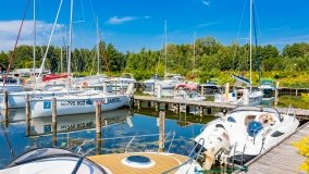 Port Royal - zdjęcie 45