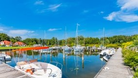 Port Royal - zdjęcie 42