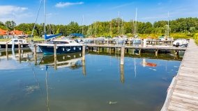 Port Royal - zdjęcie 33