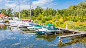 Port Royal - zdjęcie 24