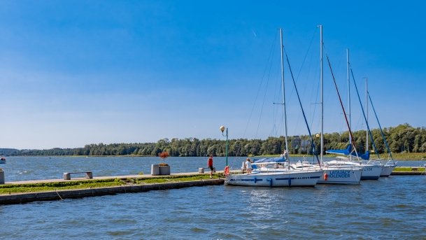 Port Dalba - zdjęcie 20