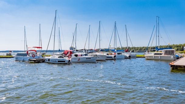 Port Dalba - zdjęcie 10