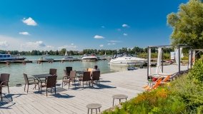 Port Czarny Łabędź - zdjęcie 41