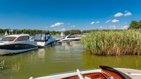 Port Czarny Łabędź - zdjęcie 24