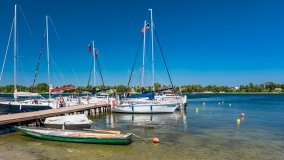 Port Tło Dla Mew - zdjęcie 66