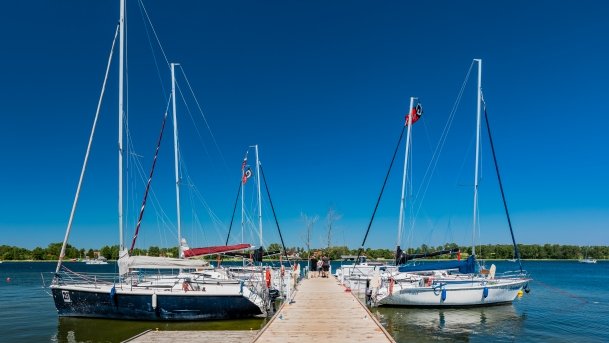 Port Tło Dla Mew - zdjęcie 48