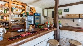 Port Tło Dla Mew - zdjęcie 41