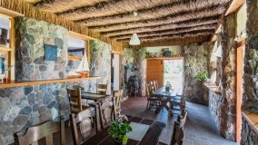 Port Tło Dla Mew - zdjęcie 38