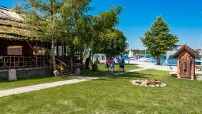 Port Tło Dla Mew - zdjęcie 35