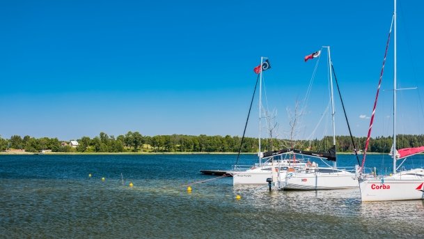 Port Tło Dla Mew - zdjęcie 15