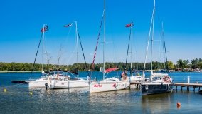 Port Tło Dla Mew - zdjęcie 26