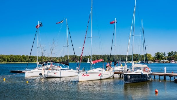 Port Tło Dla Mew - zdjęcie 11