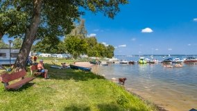 Przystań Szekla Camp - zdjęcie 66