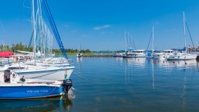 Port AZS Wilkasy - zdjęcie 46