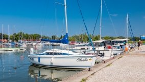 Port AZS Wilkasy - zdjęcie 39