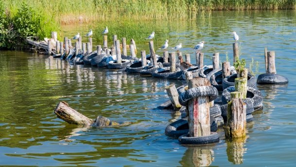 Port Tabat - zdjęcie 2