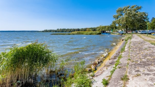 Niegocin - zdjęcie 138