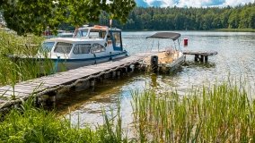 Pole Biwakowe Kula - zdjęcie 10