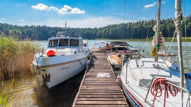 Pole Biwakowe Kula - zdjęcie 41