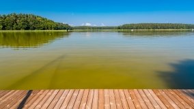 Jagodne Wielkie - Pomost - zdjęcie 6