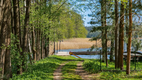 Pomost Restauracji Pepe & Lola - zdjęcie 9