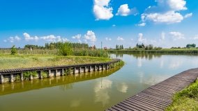 Marina Górkło - zdjęcie 46