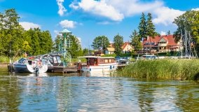 Zielony Lasek - zdjęcie 45