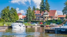 Zielony Lasek - zdjęcie 44