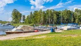 Zielony Gaj - zdjęcie 50