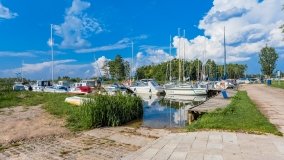 Zielony Gaj - zdjęcie 49