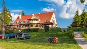 Zielony Lasek - zdjęcie 43