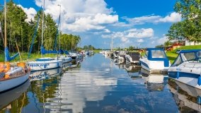 Zielony Gaj - zdjęcie 45