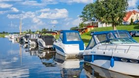 Zielony Gaj - zdjęcie 44