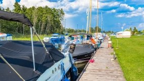 Zielony Gaj - zdjęcie 42